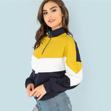 Multicolor Minimalist Sweatshirt