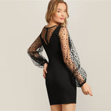 Black Dot Mesh Dress