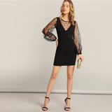 Black Dot Mesh Dress
