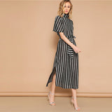 Silver Elegant Dress