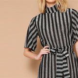 Silver Elegant Dress