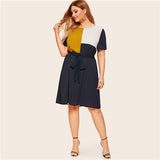 Waist Belted Dress