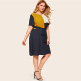 Waist Belted Dress