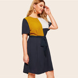 Waist Belted Dress
