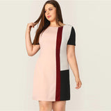 Tunic Dress