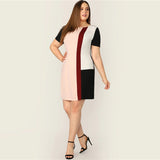Tunic Dress